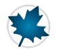 Maple worksheet icon