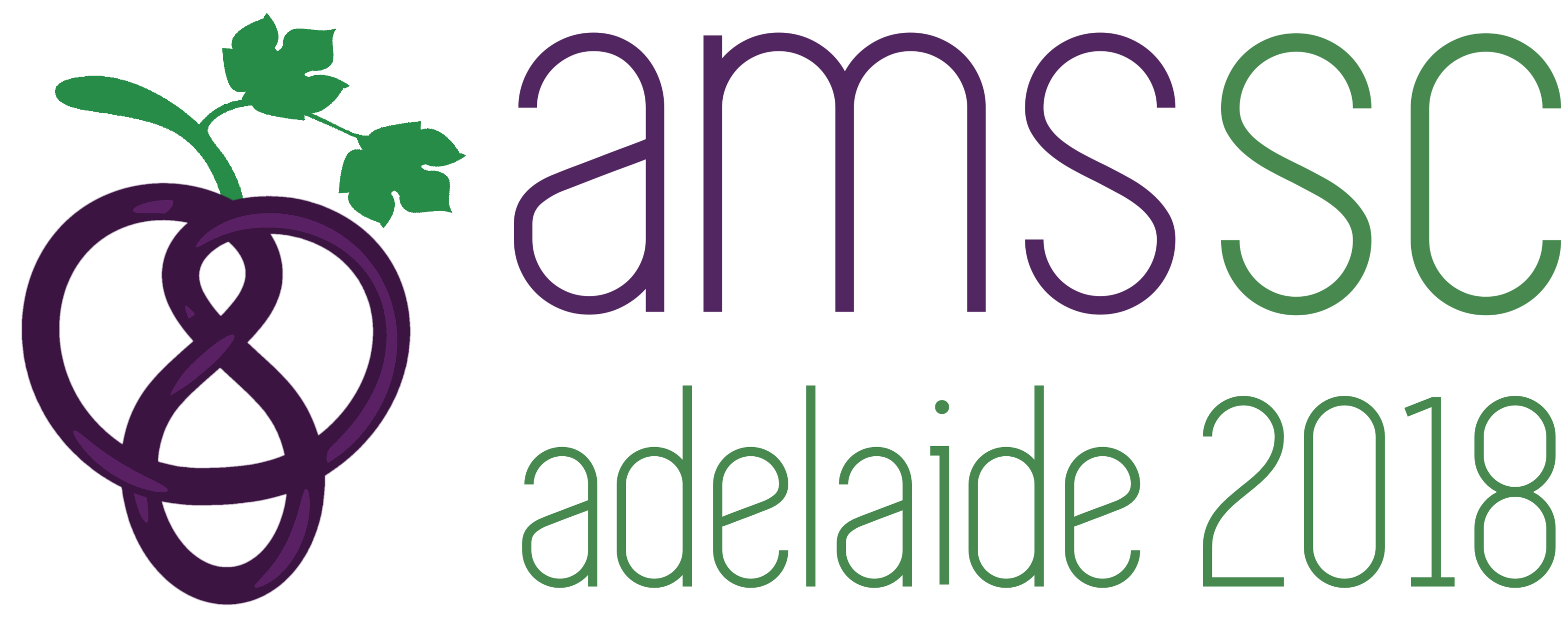AMSSC18 logo
