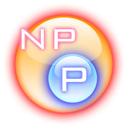 P within NP graphic